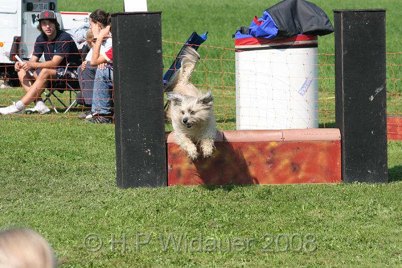 jubil.lusten. 222.jpg